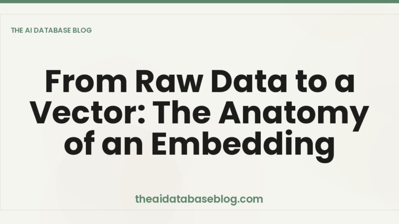 From Raw Data to a Vector: The Anatomy of an Embedding