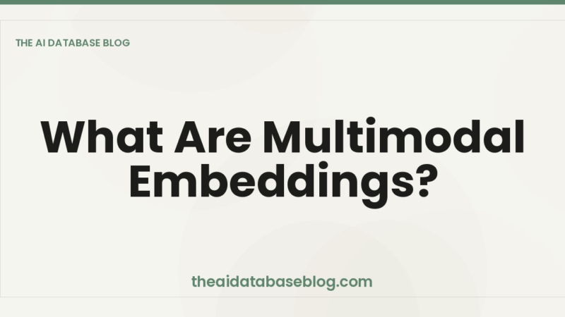 What Are Multimodal Embeddings?